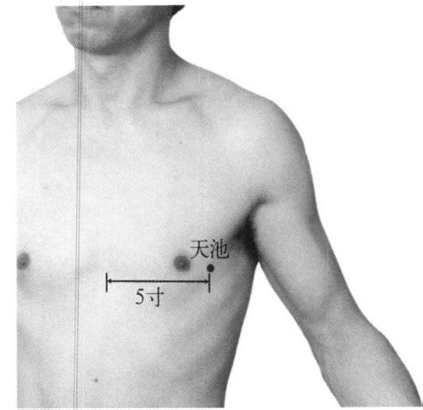 天池穴位置